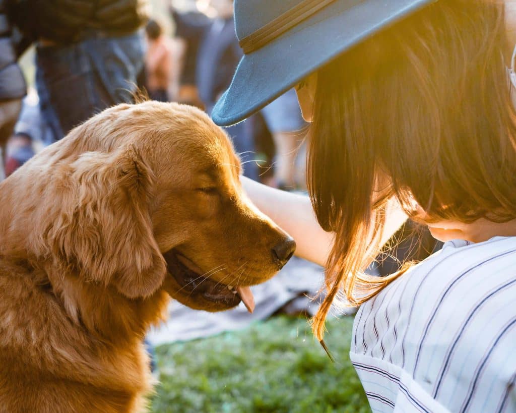 Retriever type dog being pet by a woman in a hat near Meridian Homes luxury apartments indianapolis. Adam griffith swkkiitjmyc unsplash