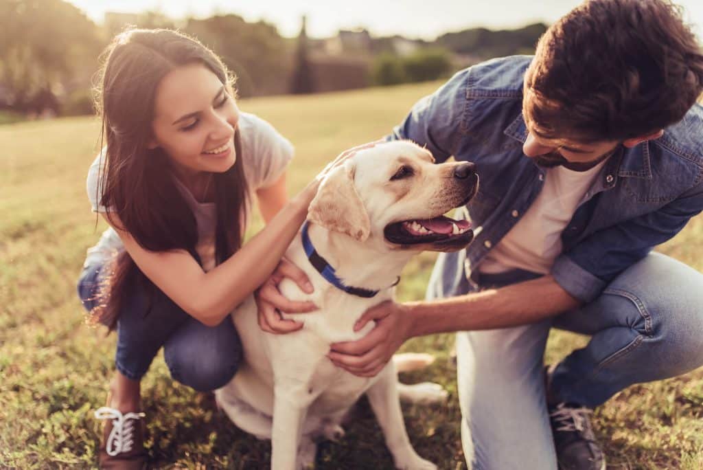 A woman and man petting a dog near pet-friendly Meridian Homes luxury apartment Indianapolis