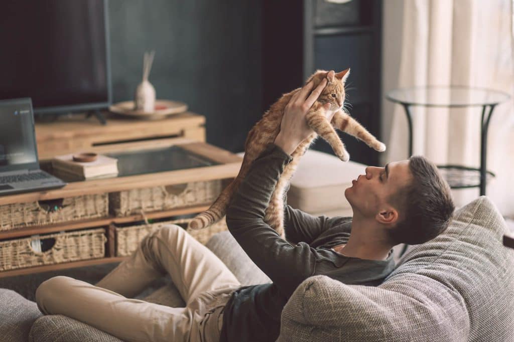 Pet friendly Meridian Homes show a man and his cat embracing on a sofa at meridian Homes rentals indianapolis at McCordsville. adobestock 322102863